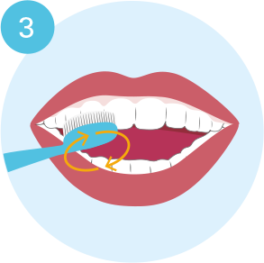 How to brush - illustration